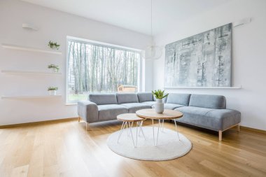 Beyaz oturma odası iç gri köşe kanepe, soyut resim, büyük pencere ve bitkiler raflar üzerinde yuvarlak bir halıya iki saç tokası tablo yerleştirilen