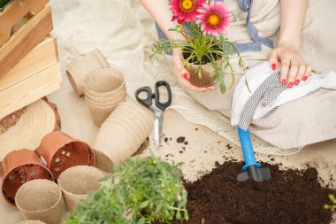 Çiçek ve bir toprak dikim Bahçe aletleri üstten görünüm