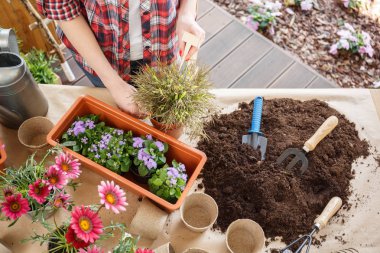 Bahçıvan çiçek toprak, Araçlar, bitkiler ve tencere ile masada süreçte yüksek açı