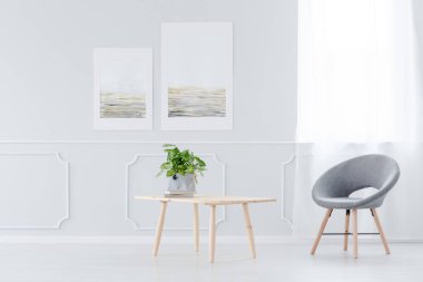 Posterler ve bitki ile basit beyaz salon iç ahşap tablosunun yanındaki gri tekli