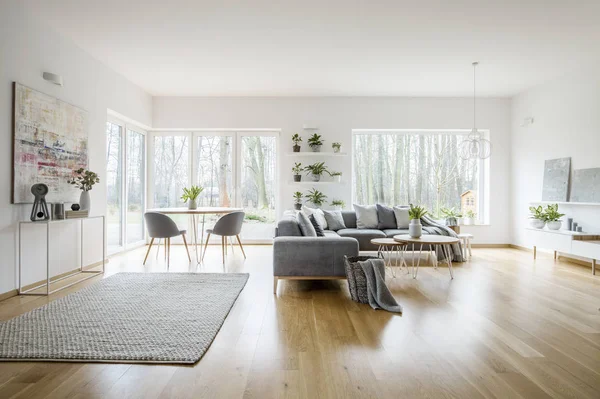 Interior Elegante Branco Sala Estar Com Janelas Sofá Canto Cinza — Fotografia de Stock