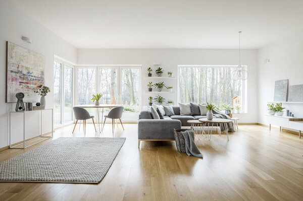 White elegant living room interior with windows, grey corner sofa and modern art posters