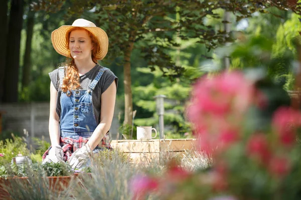 Mujer Sonriente Trabajando Jardín Descansando Día Soleado —  Fotos de Stock