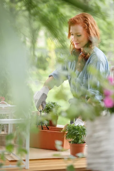 Fundo Sorrindo Mulher Replantando Flores Terraço — Fotografia de Stock