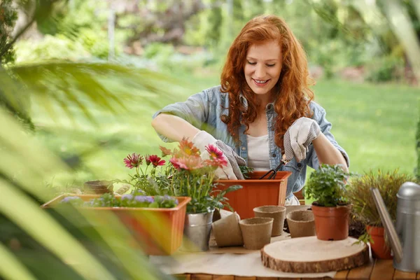 Happy Red Haired Woman Pouring Soil Container Flowers — Stock Photo, Image