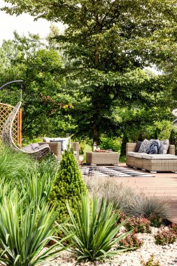 Bitki ve arka bahçe mobilyaları ile bir Hostel güneşli bir bahçede çalılar