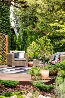 Güzel teras bahçe koltuk, desenli halı ve ağaçları ile çevrili bitkiler