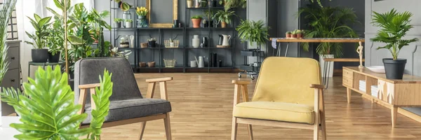 Zwei Stühle Stehen Einem Wohnzimmerinnenraum Mit Holzboden Schwarzen Regalen Und — Stockfoto
