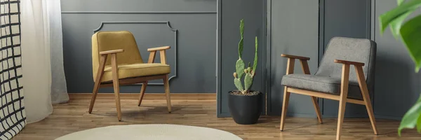 Two Chairs Standing Next Cactus Screen Them Rug Floor Living — Stock Photo, Image