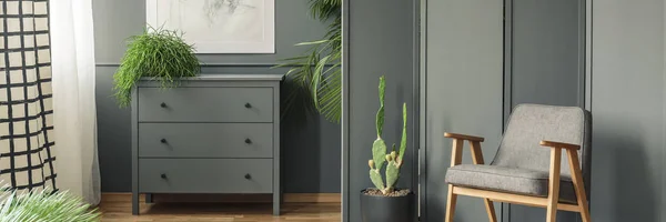 A grey chair and cactus standing in front of a screen and next to a cupboard with plants around them in botanic room interior