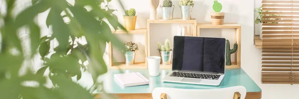 绿色植物在一个模糊的前景在计算机的相片为远程工作放置在小书桌与日历和咖啡杯子 — 图库照片
