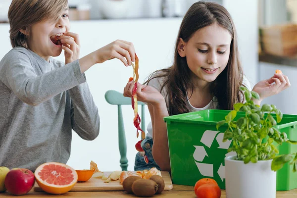 Діти Грають Яблучною Шкірою Розділяючи Відходи Кухні — стокове фото