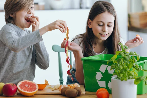 Barn Som Leker Med Ett Äpple Huden Medan Segregerande Avfall — Stockfoto