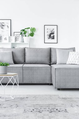 Grey, köşe kanepe ve modern sehpa beyaz salon iç kırpılmış fotoğrafı
