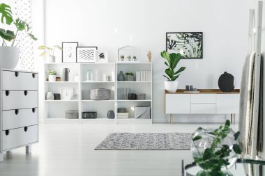 Parlak oda iç raflar, bitkiler, dolap ve süslemeleri ile