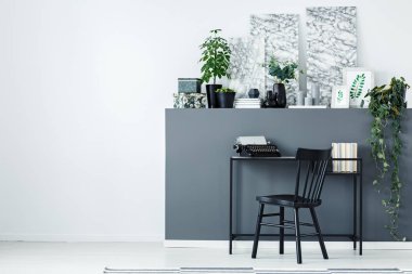 Gri ev ofis iç bir resepsiyon, daktilo, bitkiler ve yanındaki boş bir duvar resimleri