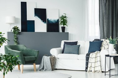 Gri yeşil koltuk ile beyaz kanepe yastık aydınlık oturma odası iç tablolar ve pencere ile ile intranetiniz arasında hasır sepet battaniyeye