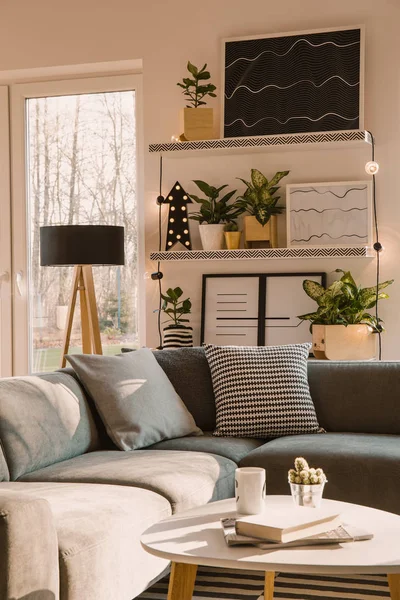 Shelves Plants Framed Posters Cozy Gray Corner Sofa Pillows Scandi — Stock Photo, Image