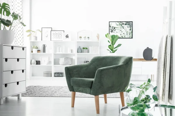 Groene Fauteuil White Kamer Interieur Met Een Kast Decoraties Planken — Stockfoto