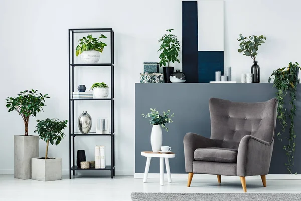 Modern Sittgrupp Interiör Med Skön Fåtölj Metall Hylla Och Växter — Stockfoto