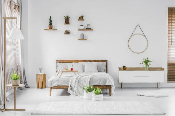 Plantes Dans Chambre Blanche Naturelle Intérieur Avec Lit Entre Tabouret — Photo