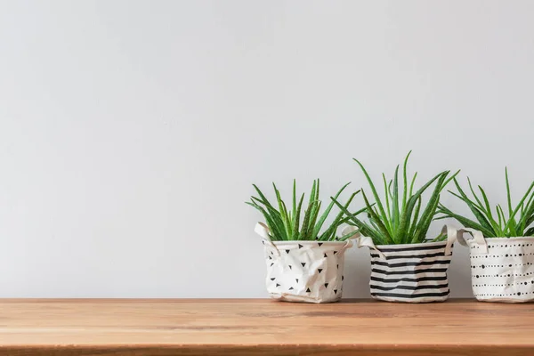 Trois Plantes Dans Des Couvertures Pot Tissu Debout Contre Blanc — Photo