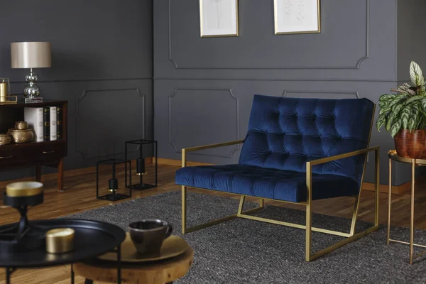 Real photo of a large, navy blue armchair with golden frame against dark wall with molding in elegant living room interior