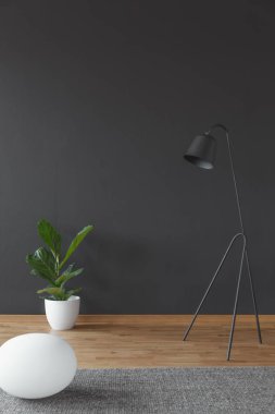 Bir beyaz pot ve metal lamba siyah, boş duvara ayarla yeşil bitki ile oturma odası iç