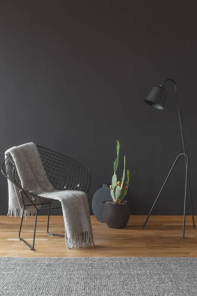 灰色毯在扶手椅旁边的仙人掌和灯在最小的黑色客厅内的地毯 — 图库照片