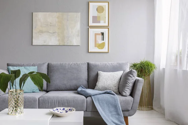 Real Photo Grey Sofa Standing Stylish Living Room Interior White — Stock Photo, Image