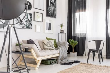 Posterler kanepe bitki ve rahat oturma odası iç siyah sandalye yanında yukarıda Galeri