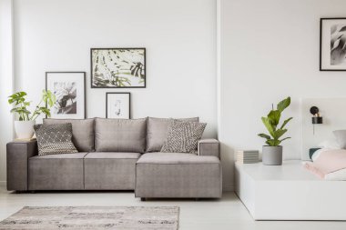 Gri köşe kanepe oturma odası iç bitki ve poster ile desenli yastık. Gerçek fotoğraf
