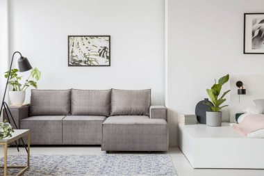 Poster gri köşe kanepe parlak Daire İç platformda üretim tesisi ile yukarıda. Gerçek fotoğraf