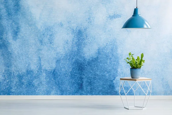 Lampe Bleue Dessus Table Moderne Avec Plante Intérieur Pièce Vide — Photo