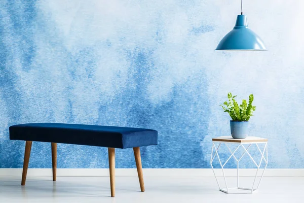 Navy Blue Velvet Bench Next Table Plant Lamp Anteroom Interior — Stock Photo, Image