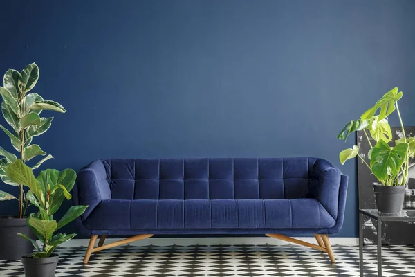 Navy blue settee against the wall with copy space in dark living room interior with plants on checkerboard floor