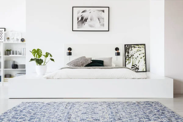 Patterned Carpet Poster White Bedroom Interior Plant Platform Bed Real — Stock Photo, Image
