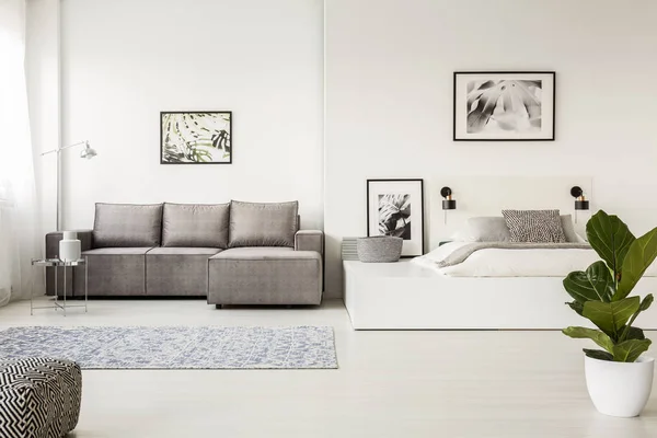 Tapis Motifs Devant Canapé Angle Gris Intérieur Espace Ouvert Avec — Photo