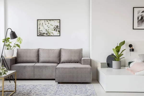 海报上方的灰色角落沙发在明亮的公寓内部与植物在平台上 真实照片 — 图库照片