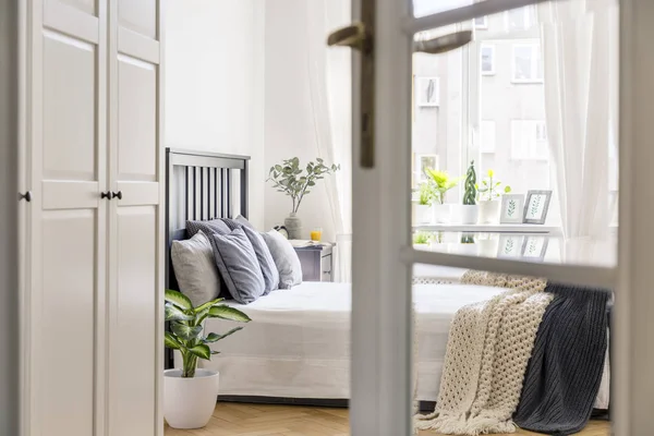 Weißer Schrank Hellen Schlafzimmerinnenraum Mit Pflanze Neben Dem Bett Mit — Stockfoto
