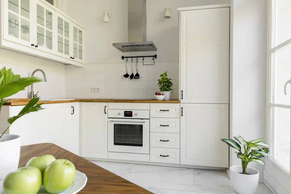 Plant White Minimal Kitchen Interior Silver Cooker Hood Wooden Countertop — Stock Photo, Image
