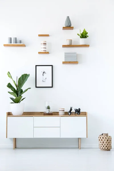 Poster Über Holzschrank Mit Pflanze Minimalistischem Weißen Wohnungsinterieur Echtes Foto — Stockfoto