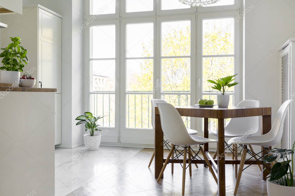 White chairs at wooden table with plant in bright dining room interior with window. Real photo