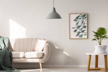 Battaniye ve yastık ayakta bitki asılı lamba ve duvardaki poster ile bej oturma odası iç bir tabloyla yanında kanepeyle gerçek fotoğraf