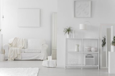 Poster ve battaniye bir kanepe ile basit salon iç kabin beyaz bitki