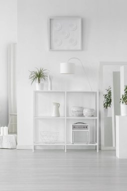 Taze bitki, basit lamba ve İskandinav tarzı parlak oda iç dekor ayakta beyaz metal raf