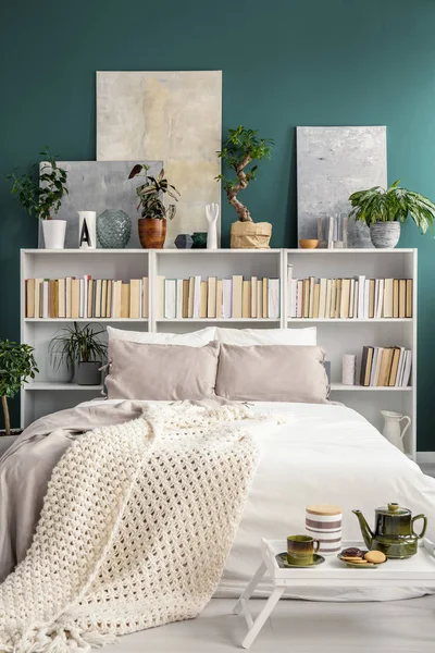 白色书架背后的双层床与毯子和枕头 植物和绘画在一个绿色的卧室内部 — 图库照片