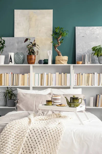 Yeşil Bir Pot Bir Çift Kişilik Yatak Bookshelf Bitki Ile — Stok fotoğraf