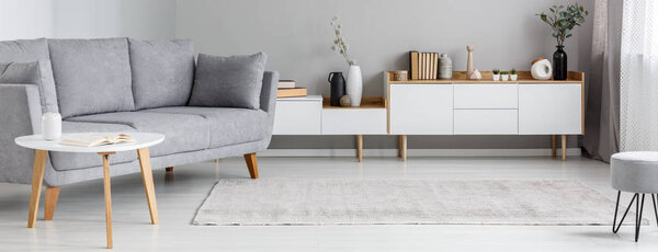 Grey lounge standing in bright sitting room interior with books, plants and decorations on cupboard, carpet on the floor and small table