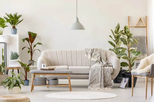 Manta Sofá Beige Bajo Lámpara Gris Interior Sala Estar Floral — Foto de Stock